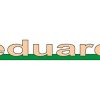 Eduard 22016  Leopard 2A4 (Revell)