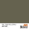 AK11307 RAL 7009 Hellgrau