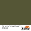 AK11309 RAL 6003 Olivegrün opt.1