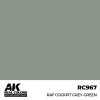 AK RC967 RAF Cockpit Grey-Green